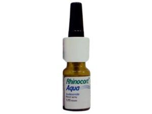Rhinocort Nasal Spray